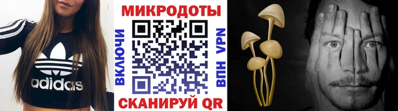 Псилоцибиновые грибы Cubensis Ядрин